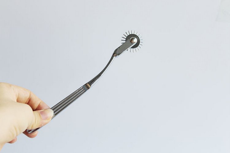 Cây cọ lăn gai Lehard thép không gỉ – Đồ chơi SM kích thích da cảm giác mạnh