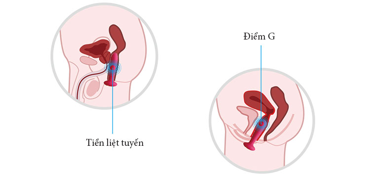  Máy rung Svakom Primo silicone mềm – dùng cho cả nam và nữ