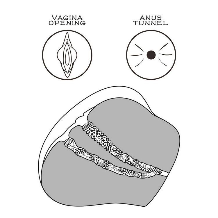 Hai kênh siêu khít với cấu trúc nốt sần và đường cong kích thích mạnh.